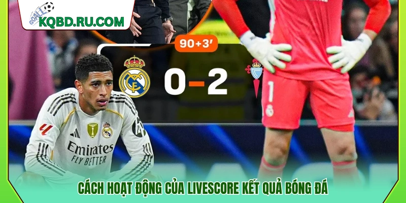 Quy trình hiển thị tỷ số của livescore kết quả bóng đá